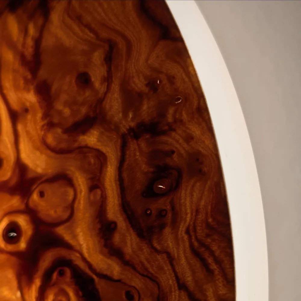 Orfeo Ash Root Wall Light